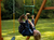 Best Playsets For Older Children