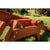 See-Saw See-Saw