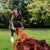 See-Saw See-Saw