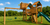 Metal vs. Wood Swing Sets: Which Is Better for Long-Term Use?