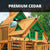 Treasure Trove I Swing Set