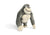 Buddy Plush Toy
