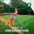 Frontier Swing Set