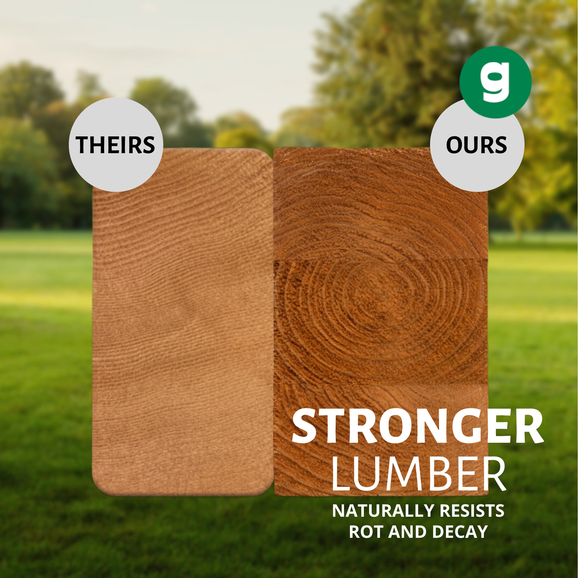 Treasure Trove I Swing Set