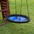 Nest Swing