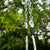 Skateboard Swing