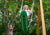 Skateboard Swing