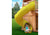 Lifestyle shot of Green Super Tube Slide from Gorilla Playsets