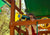 Girl looks through the green and yellow telescope with compass  from Gorilla Playsets.