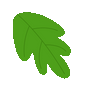 plants gif
